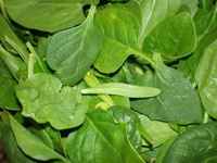 Larger_spinach